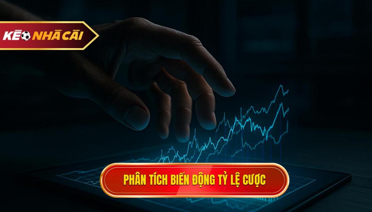 Phân tích chuyên sâu về biến động tỷ lệ cược